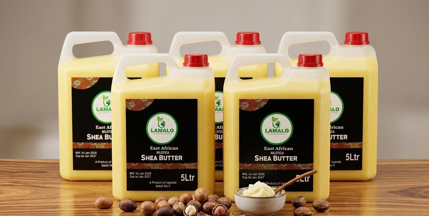 NILOTICA SHEA BUTTER