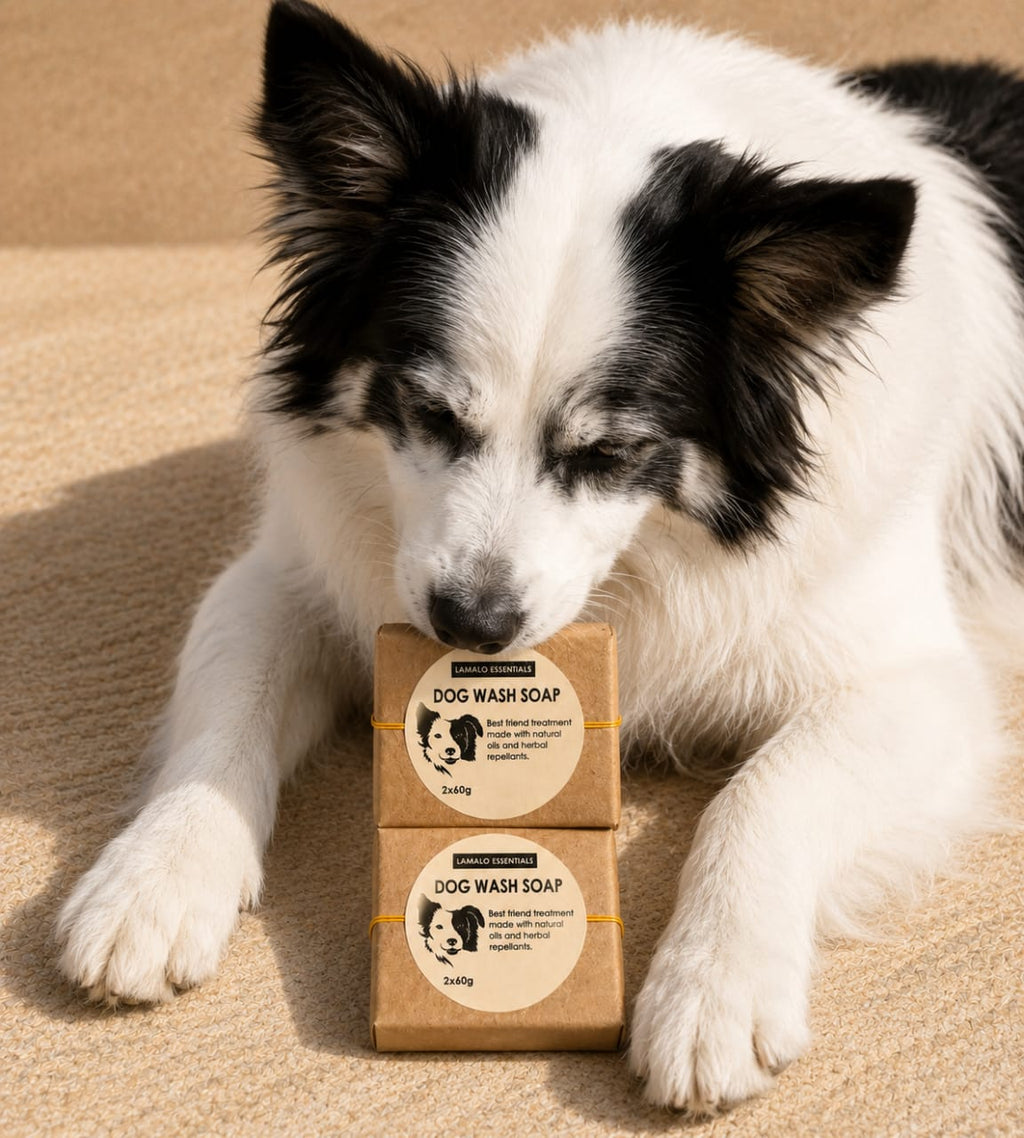 DOG WASH SOAP