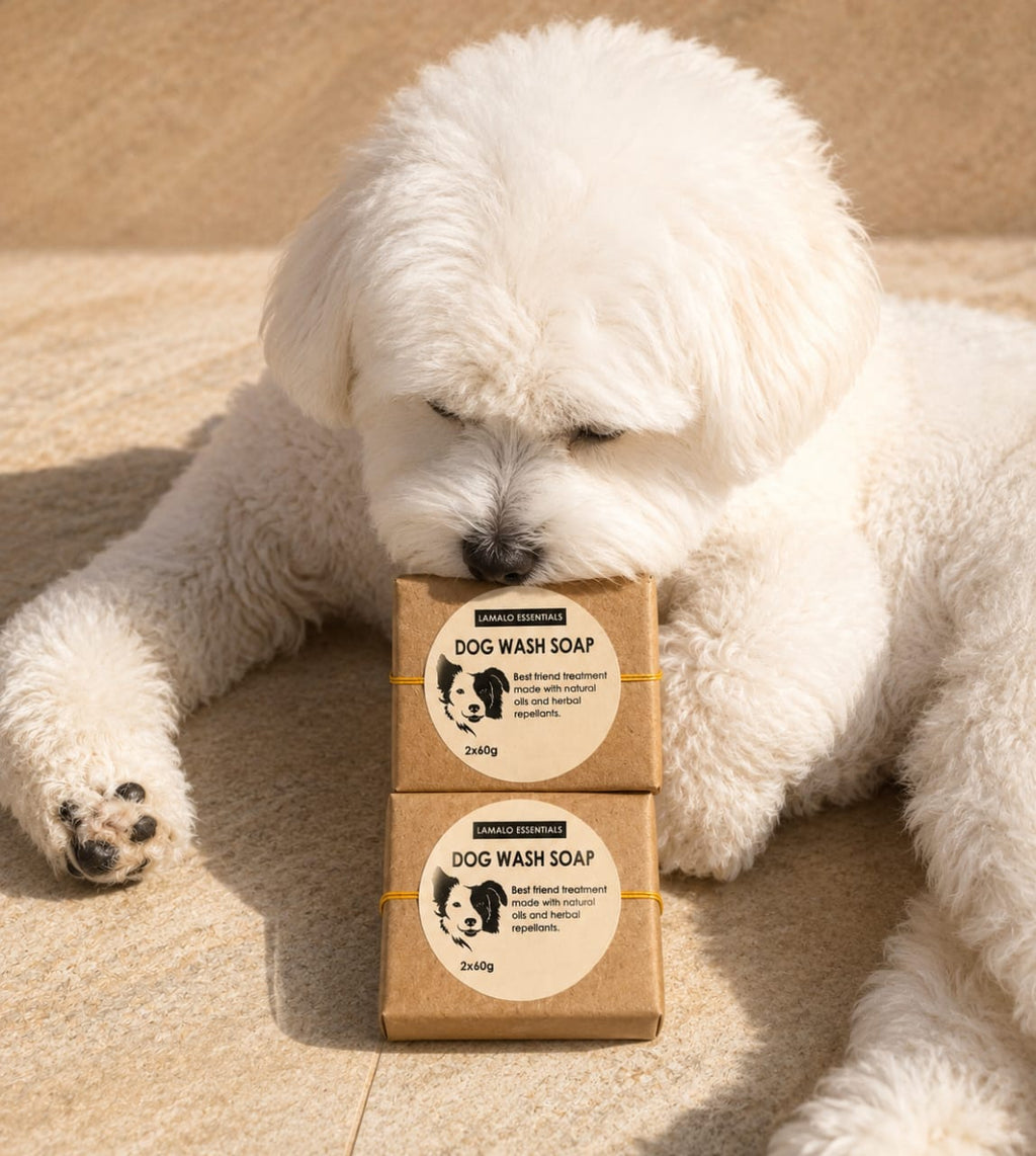 DOG WASH SOAP